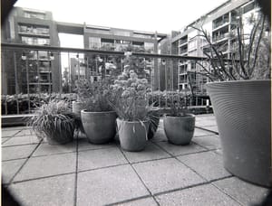 Sindum Camera #2 v2