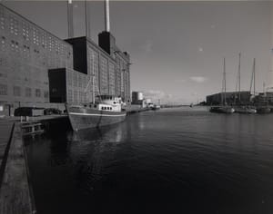 Svanemølle habour